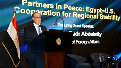 وزير الخارجية: التعاون الاقتصادي وجذب الاستثمارات الأمريكية ضمن أولوياتنا