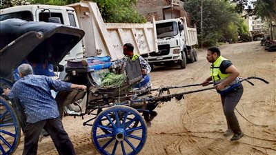 بالصور.. حملة موسعة لضبط عربات الحنطور المخالفة في الأقصر