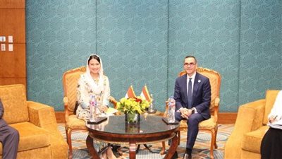 وزير الاستثمار يبحث مع نائبة وزير التجارة الإندونيسي تعزيز العلاقات التجارية