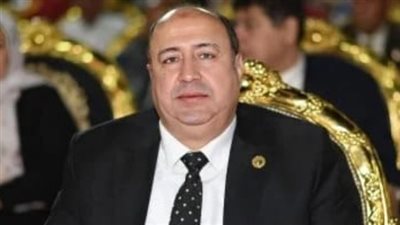 عضو بالشيوخ: التسهيلات الضريبية تدعم الاستثمار وتوسع القطاع الخاص