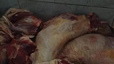 ضبط 650 كجم لحوم فاسدة وأختام مزورة بالقناطر الخيرية