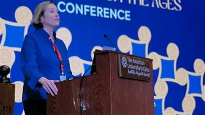 مركز البحوث الأمريكي يناقش تأثير التفاعل بين مصر ومحيطها