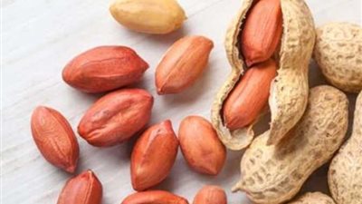 الفول السوداني 