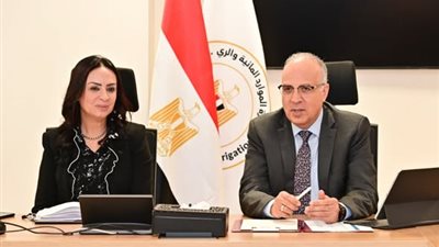 التضامن والري يبحثان تدوير ورد النيل لإنتاج مشغولات يدوية للأسر الأولى بالرعاية