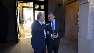 وزير الخارجية يؤكد دعم مصر لتعزيز دور السلطة الفلسطينية