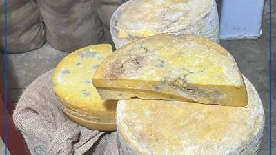 تموين الإسكندرية يضبط 20 طن جبن فاسد في حملة مكبرة على الأسواق