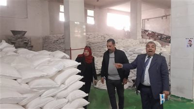 ضبط 8 طن مواد غذائية و100 طن ملح مجهولة المصدر بقويسنا
