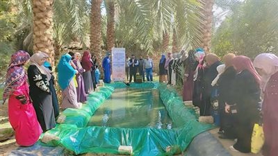 الزراعة تختتم سلسلة من الأيام الحقلية لدعم مزارعي المناطق حديثة الاستصلاح يتوشكي والوادي الجديد