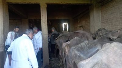 قافلة بيطرية علاجية وإرشادية مجانية بقرية 