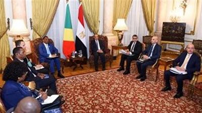 وزير الخارجية يؤكد لنظيره الكونغولي أهمية الإصلاح المؤسسي للاتحاد الأفريقي