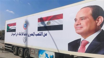إرسال قافلة طبية في التخصصات النادرة وأدوية للأشقاء في السودان