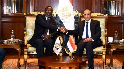 وزير الخارجية يبحث مع رئيس مفوضية الإيكواس تعزيز التعاون والأمن غرب إفريقيا والساحل