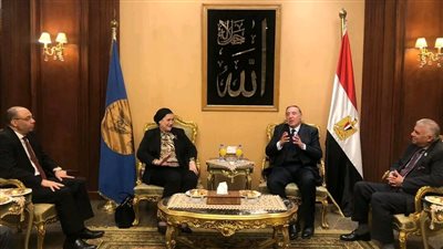 «السنباطي» من المحكمة الدستورية: تعاون المؤسسات الوطنية سبيل لضمان حقوق الأطفال وأمانهم