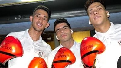 أبو زهرة: المشادة بين أحمد فتوح وإمام عاشور غير صحيحة