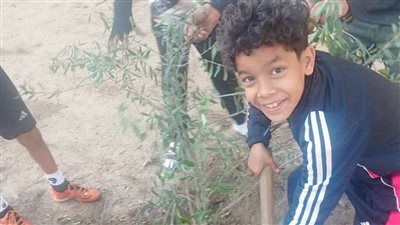 مركز شباب شطا ينفذ مبادرة تشجير لتعزيز المساحات الخضراء
