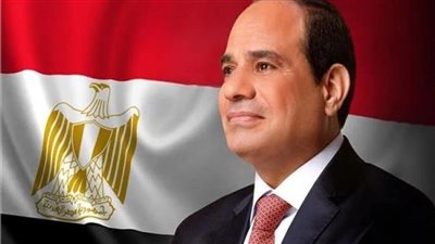 حصاد العام.. نجاحات مصر بمختلف القطاعات في 2025 تتويجًا للجهود المصرية