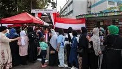 موعد إعادة انتخابات مجلس النواب في الدوائر الملغاة