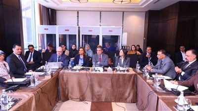 التضامن تنظم فعالية إطلاق تقرير حول الحماية الاجتماعية بالتعاون مع الإسكوا