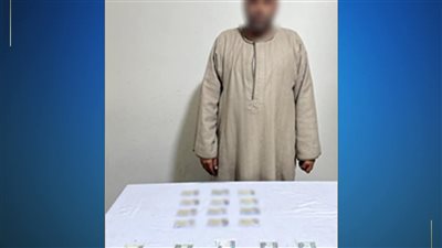 ضبط سمسار انتخابات بحوزته بطاقات شخصية بمحيط لجنة بنجع حمادي 