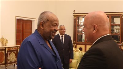 رئيس جيبوتي يستقبل وزير النقل لبحث التعاون في عدد من المشروعات