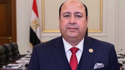 عضو بـ«الشيوخ»: جماعة الإخوان تستغل عناصرها لتنفيذ تحركات عدائية ضد مصر وتشويه صورتها خارجيا