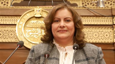 برلمانية عن اعتراف إسرائيل بـ«صومالي لاند»: تجاوز واضح لقواعد الشرعية الدولية