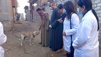 تحصين الكلاب 