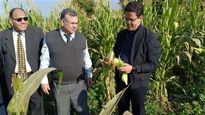 رئيس جامعة بنها: نسعى لتعزيز العائد الاقتصادي للوحدات الإنتاجية بالجامعة