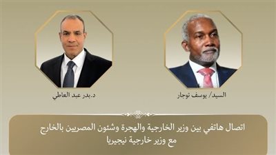  وزير الخارجية يبحث مع نظيره النيجيري تطورات الأوضاع الإقليمية
