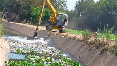 زراعة المنوفية تعلن ترخيص 1073 مشروع متنوع وتطهير 326 كم من المساقى الخصوصية