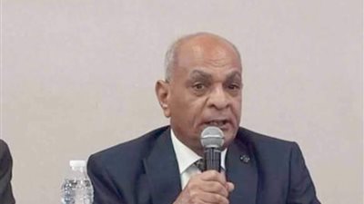 حزب الريادة: الوحدة الوطنية الركيزة الأساسية لقوة الدولة المصرية