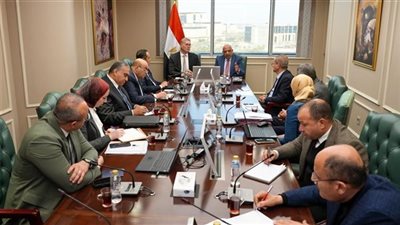 اجتماع حكومي لوضع خطة عمل لتأمين التغذية الكهربائية خلال صيف 2026