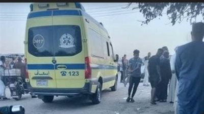 سيارة يقودها طفل تنهي حياة عاملي نظاقة بأكتوبر 