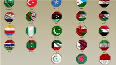 مصر و21 دولة ترفض زيارة مسؤول إسرائيلي لأرض الصومال.. وتطالب بسحب الاعتراف فورا