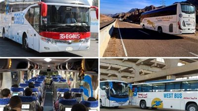 النقل: تحديث شامل لأسطول الركاب والبضائع بانضمام 529 أتوبيسا جديدا 