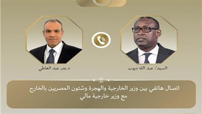 تفاصيل ما جرى بالاتصال الهاتفي بين وزير الخارجية ونظيره المالي 