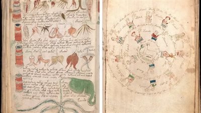 دراسة تكشف أسرار أكثر النصوص المشفرة غموضًا 