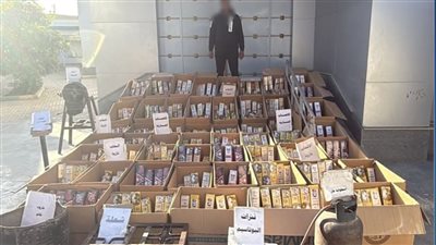 ضبط عاطل قبل إغراقه السوق بالألعاب النارية بالفيوم 