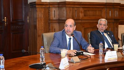 النائب أحمد سيد: قصور الثقافة ركيزة أساسية في دعم الإبداع واكتشاف المواهب