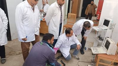 بالأرقام.. طفرة في خدمات التحسين الوراثي والرعاية البيطرية للماشية خلال ديسمبر