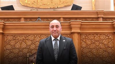 تحرك برلماني من «نائب العدل» لحل شكاوى سكان «عمائر الشيخ نصر» بأسوان (اعرف التفاصيل)