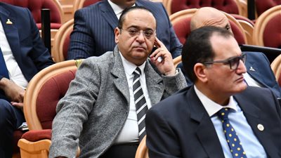 عضو الشيوخ: رسالة ترامب تؤكد الدور المحوري لمصر في اتفاق غزة