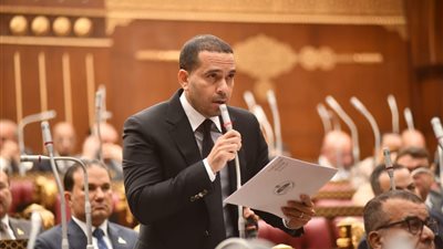 برلماني يشيد بكلمة الرئيس السيسي في منتدى دافوس: رؤية واضحة لمستقبل الشرق الأوسط