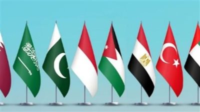 مصر والأردن و6 دول أخرى تنضم رسميا إلى مجلس السلام الدولي