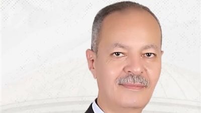 النائب حسين غيته