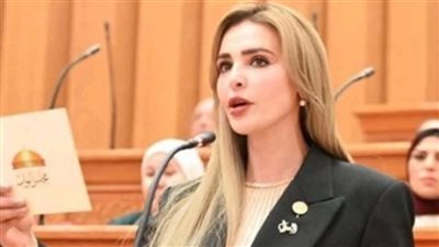 برلمانية تطالب «البترول» بالكشف أسباب انخفاض إنتاج الطاقة وغياب الشفافية