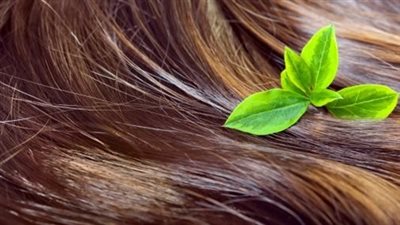 أفضل الخلطات الطبيعية لتكثيف الشعر الخفيف 