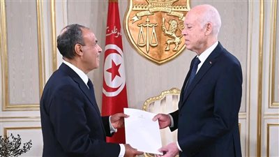 بتوجيهات رئاسية.. وزير الخارجية يلتقي الرئيس التونسي ويسلمه رسالة من السيسي