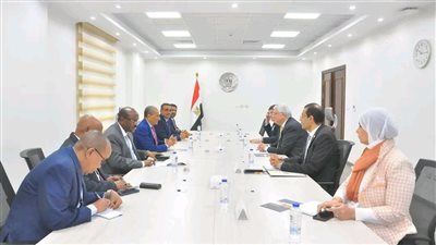 وزير التعليم العالي يبحث مع نظيره الجيبوتي تعزيز التعاون الأكاديمي والبحثي