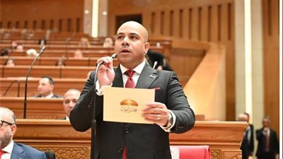 نائب العدل يتقدم بطلب إحاطة بشأن اختلالات الإسكان الاجتماعي